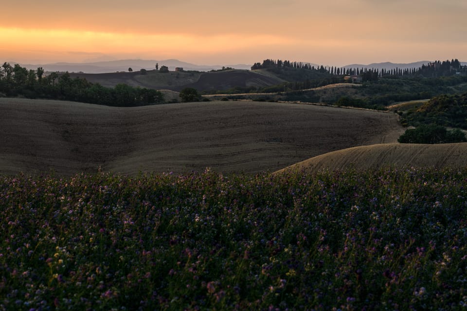 Clays of Siena, Part 1 (You Don't Want to Miss This)