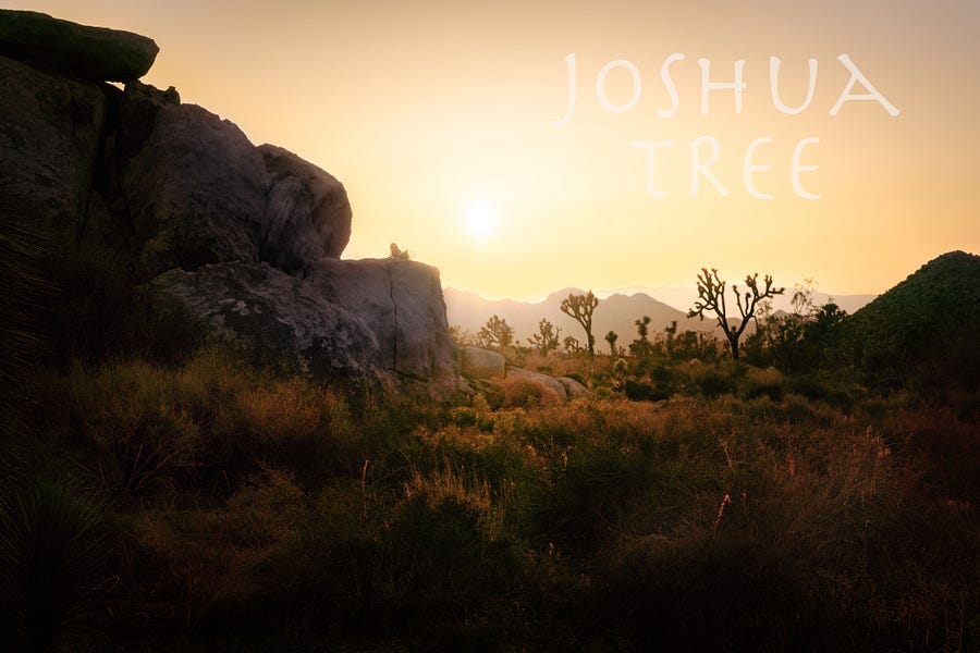 Joshua Tree